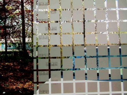 Película Bold Black